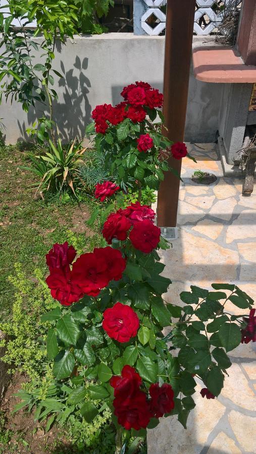 Holiday Home Arbanase Zadar Zewnętrze zdjęcie